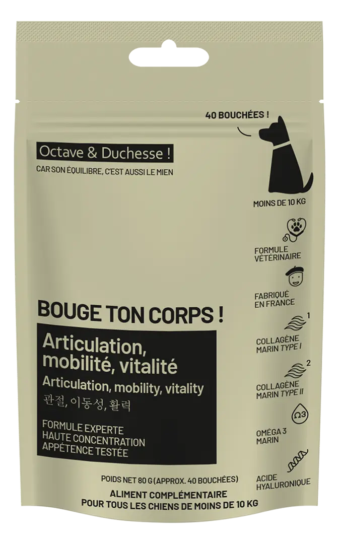 Bouge ton corps ! articulation, mobilité, vitalité - chiens