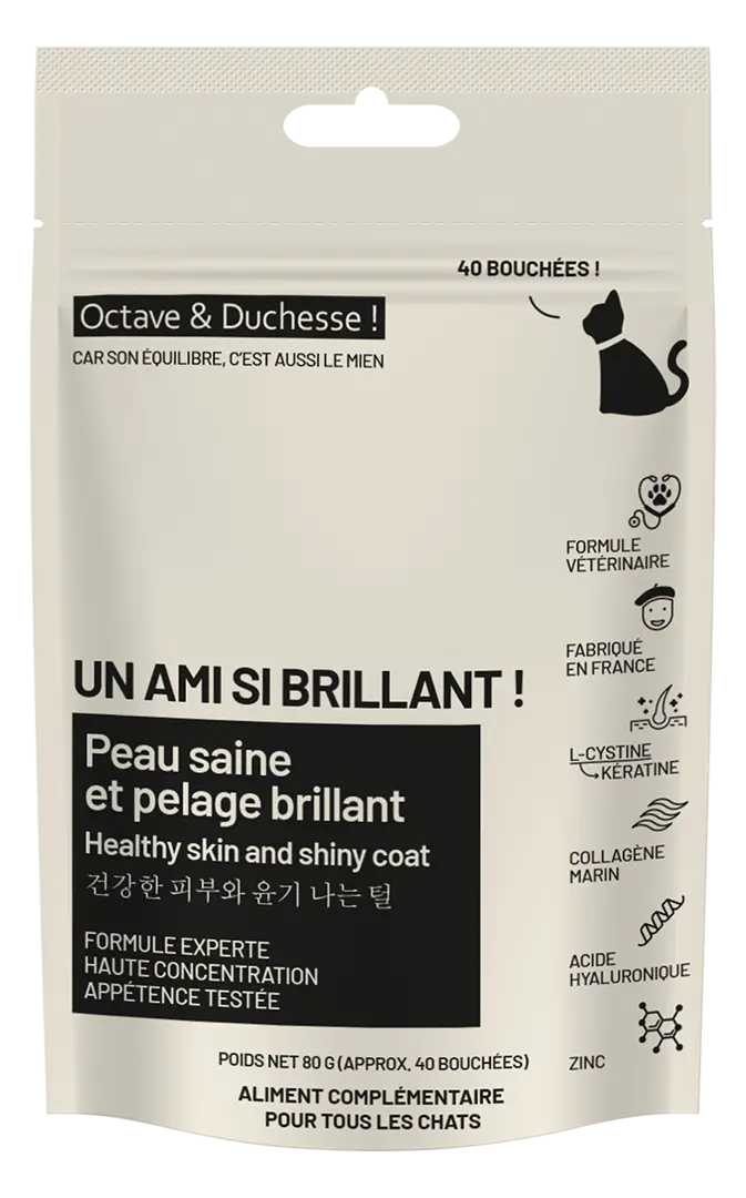 Un ami si brillant ! Peau saine et pelage brillant – Chats