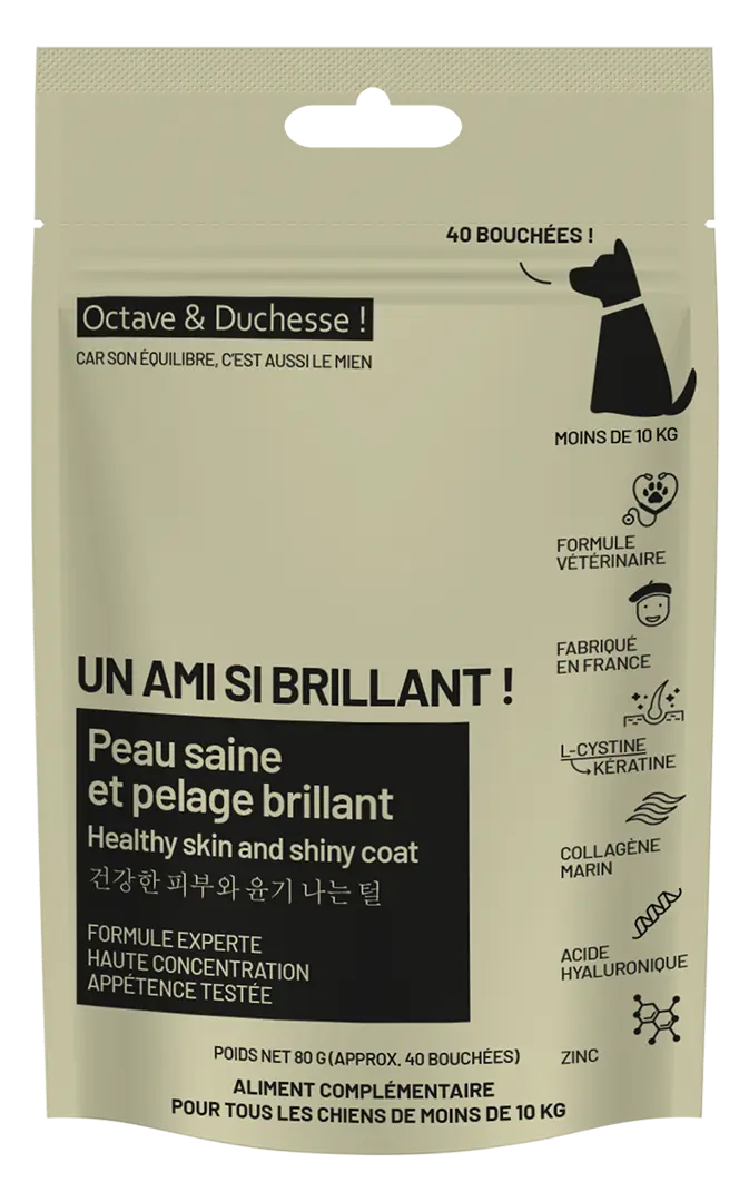 Un ami si brillant ! Peau saine et pelage brillant pour chiens