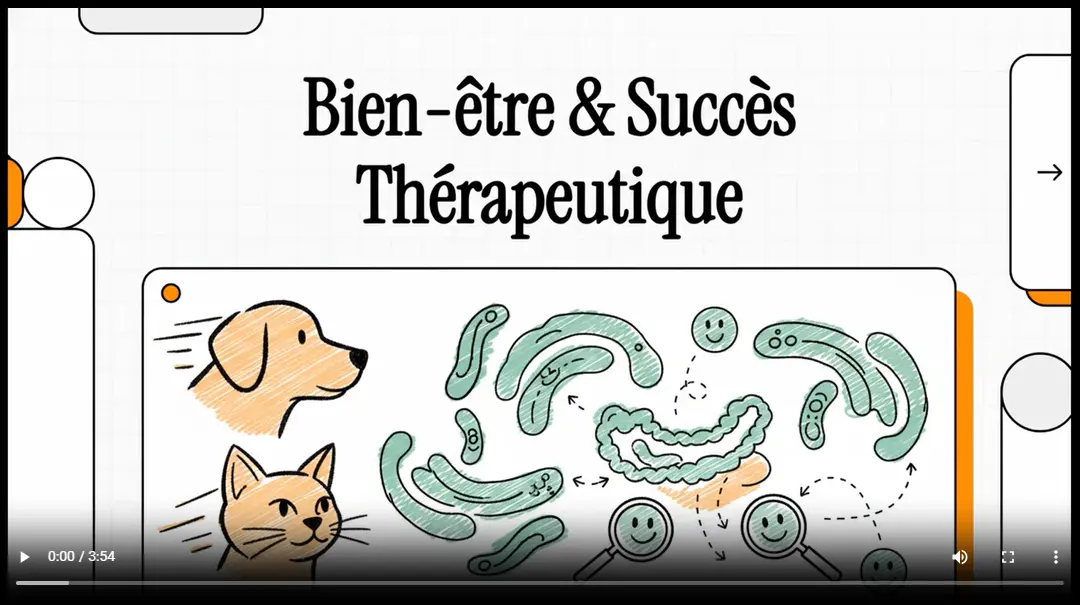 Bien-être et succès thérapeutique